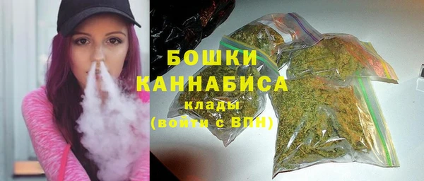 гидра Арсеньев